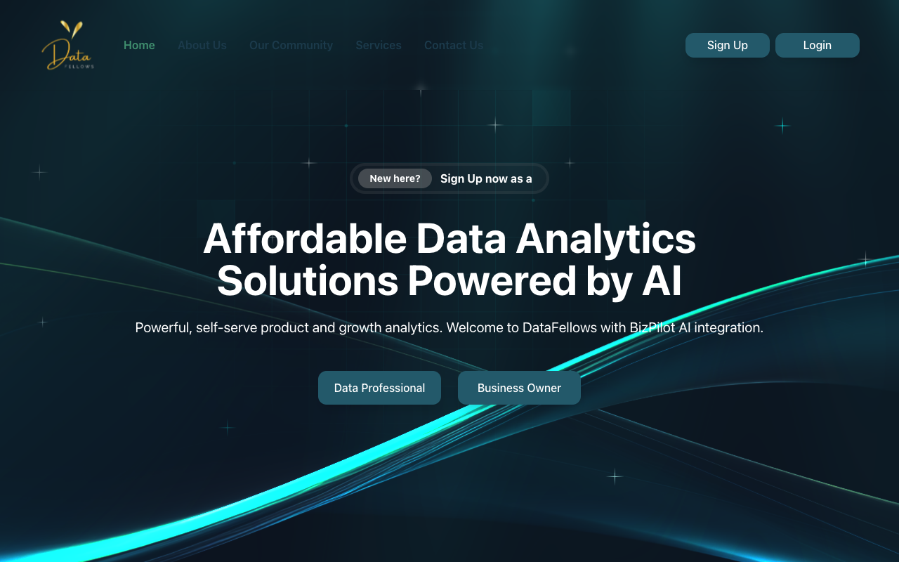 Data Fellows：AI驱动的数据解析神器，助力中小企业智赢未来！