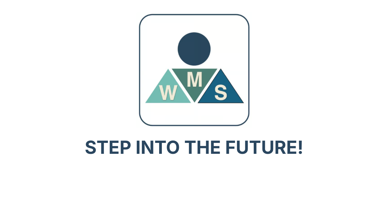 MWSSCORES - An AI-powered web app that measures your professional value AI professional-development resume-scoring