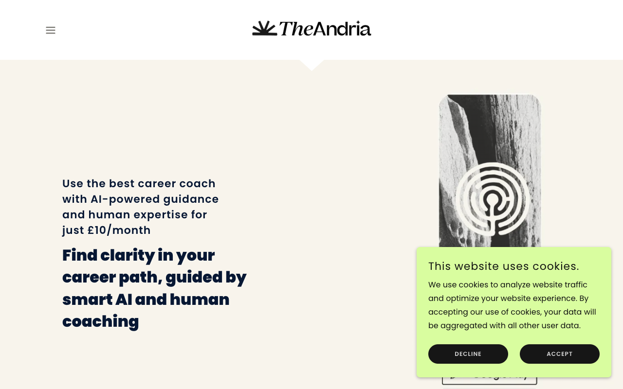 TheAndria - A smart AI platform that combines human coaching to guide your career decisions career AI coaching